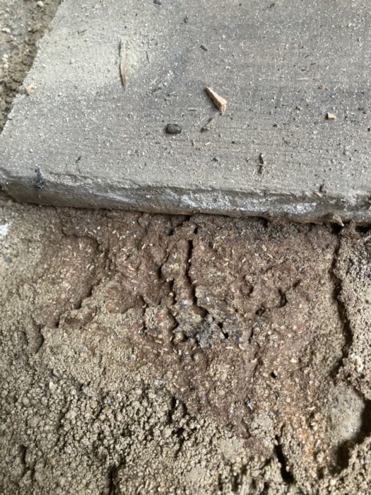 教えて シロアリの駆除方法 福岡県福岡市や古賀市の解体工事 シロアリ予防はシロアリ駆除業者アスリートテック
