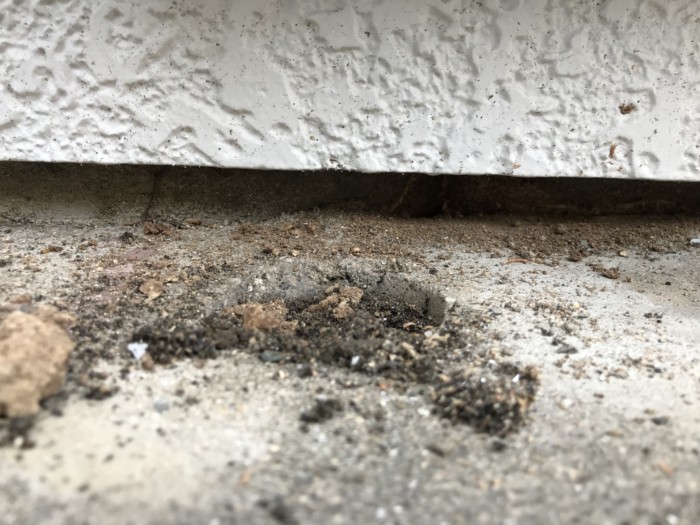 業務案内 福岡県福岡市や古賀市の解体工事 シロアリ予防はシロアリ駆除業者アスリートテック